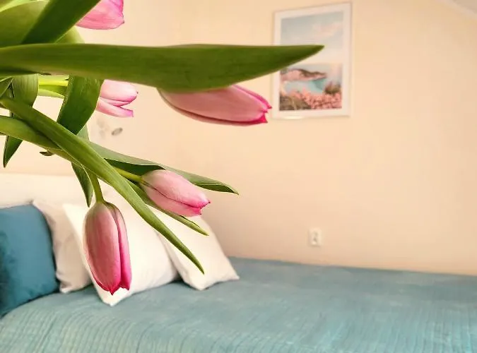 Apartamentowe Italia Apartamento *